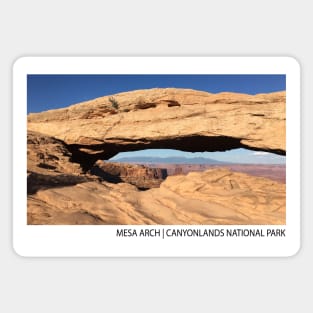 MESA ARCH Magnet